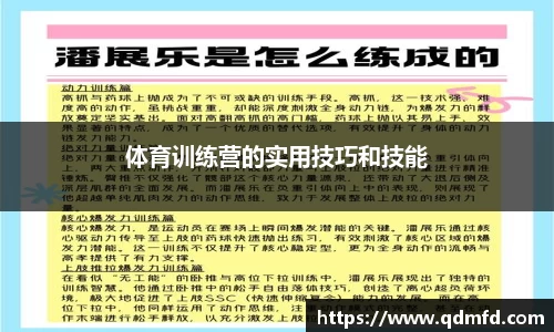 体育训练营的实用技巧和技能